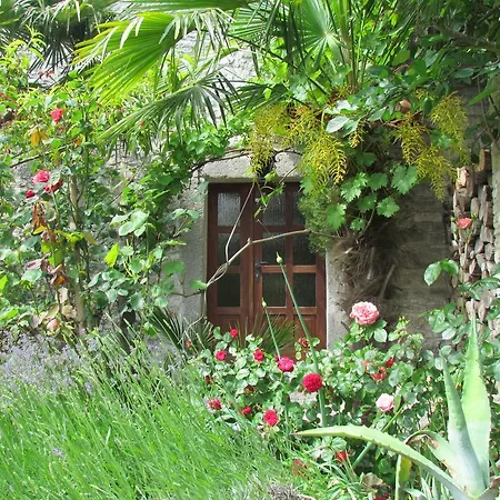 Summerhouse Beram Pazin Exterior photo